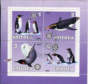 Souvenir Sheet, Pengins, Eritrea,  , Animals (Fauna)