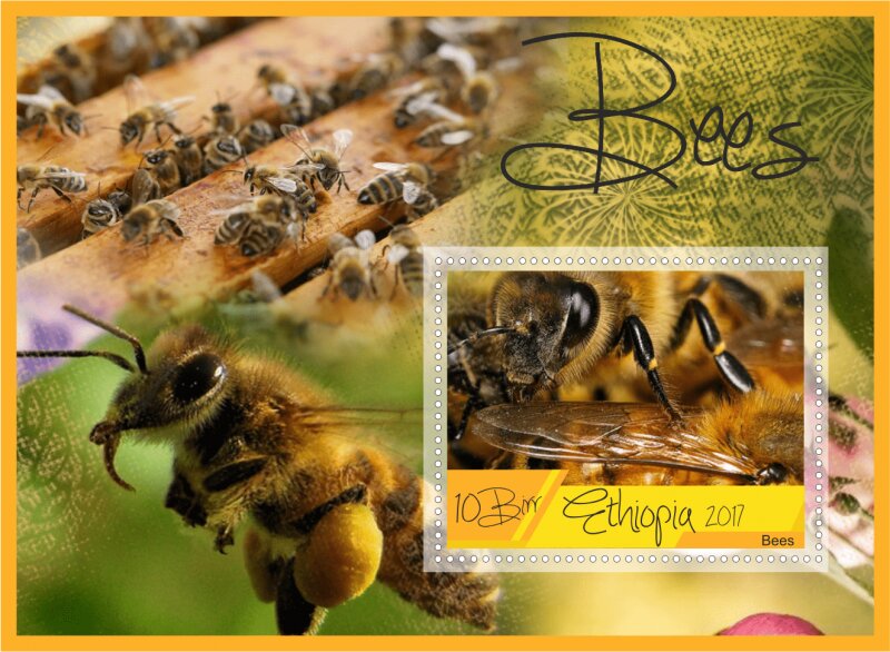 Fauna Bees