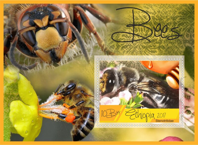 Fauna Bees