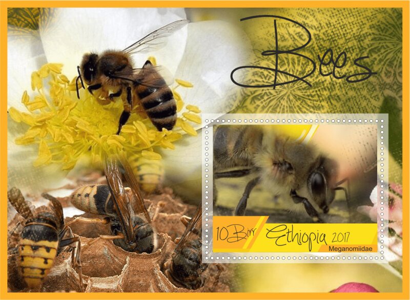 Fauna Bees