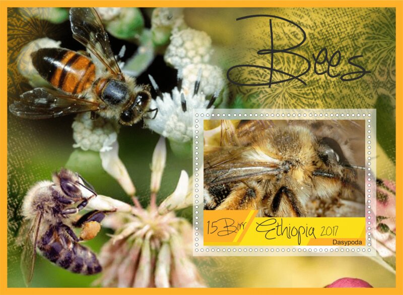 Fauna Bees