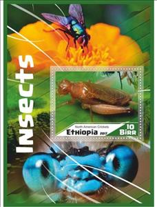 Souvenir Sheet, Fauna Insects, Ethiopia,  