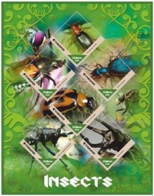 Fauna Insects