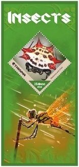 Fauna Insects