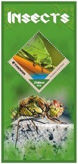Fauna Insects