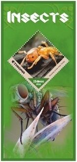 Fauna Insects