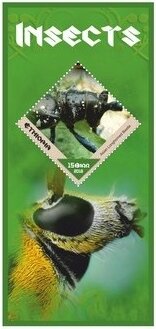 Fauna Insects