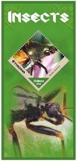 Fauna Insects