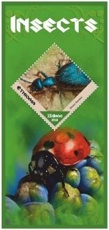 Fauna Insects