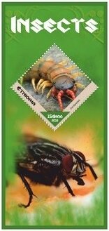 Fauna Insects