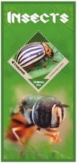 Fauna Insects