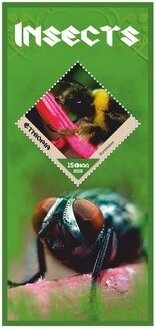 Fauna Insects