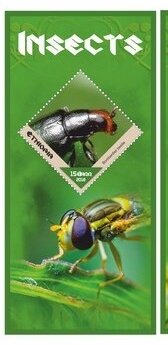 Fauna Insects