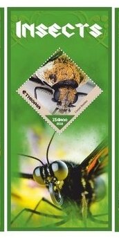 Fauna Insects