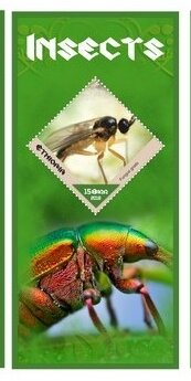 Fauna Insects