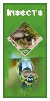 Fauna Insects