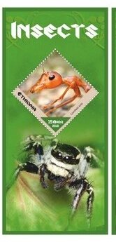 Fauna Insects