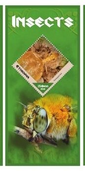 Fauna Insects