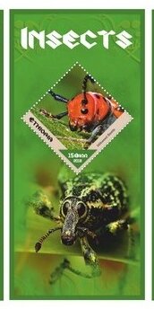Fauna Insects