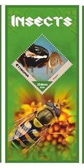 Fauna Insects