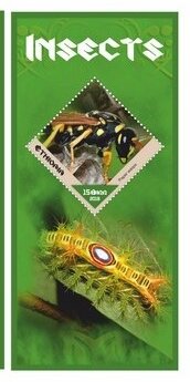 Fauna Insects