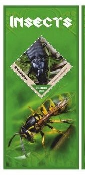 Fauna Insects