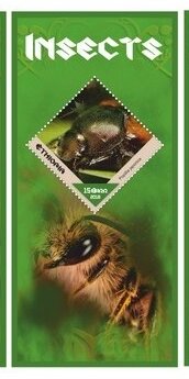 Fauna Insects