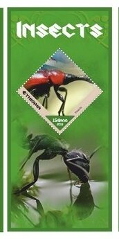 Fauna Insects