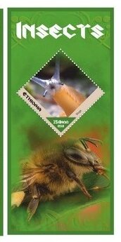 Fauna Insects