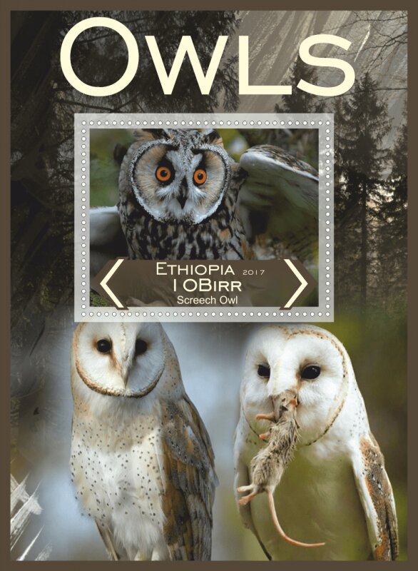 Fauna Owls