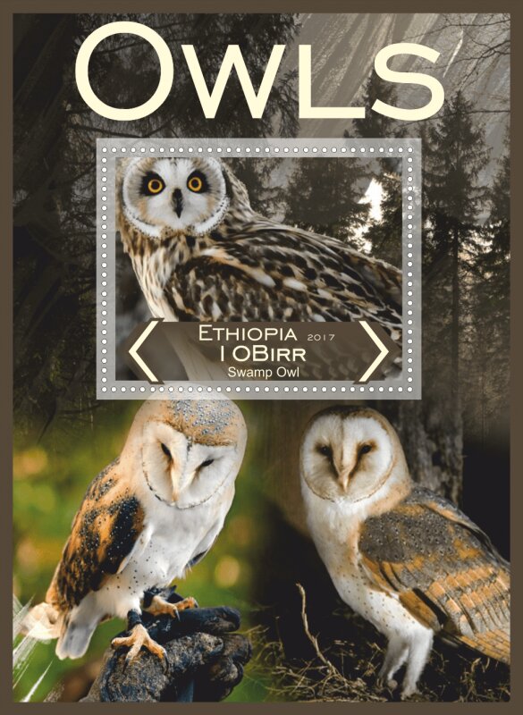 Fauna Owls