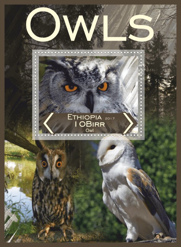 Fauna Owls