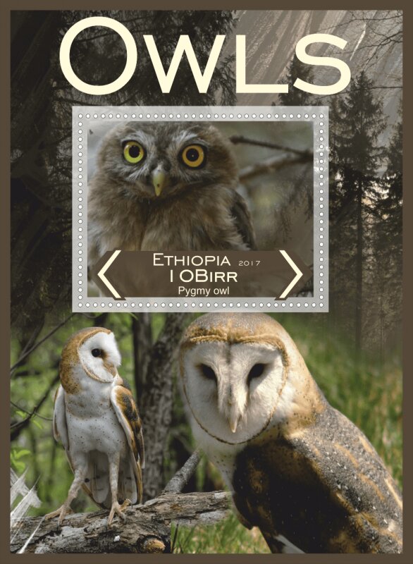 Fauna Owls