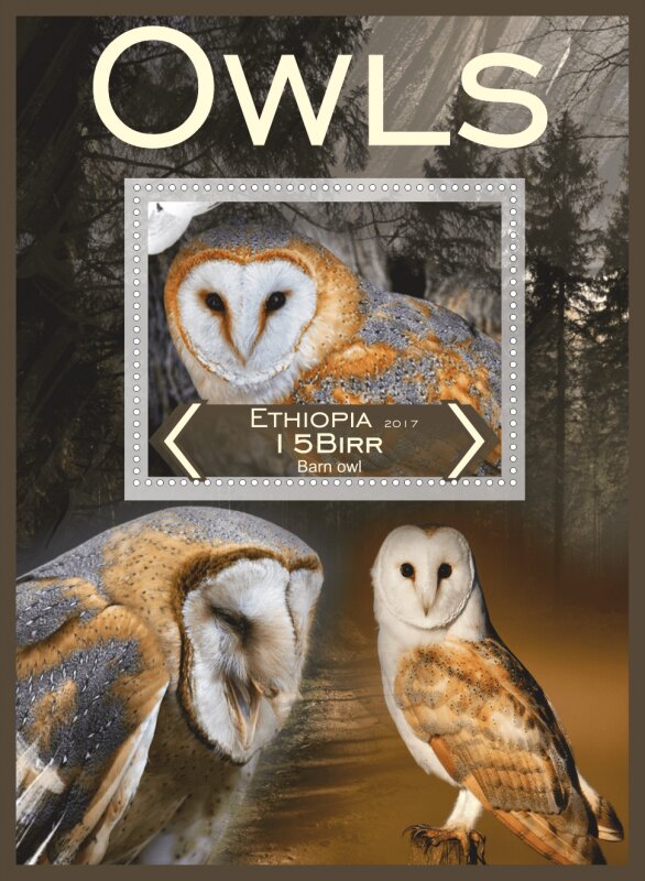 Fauna Owls