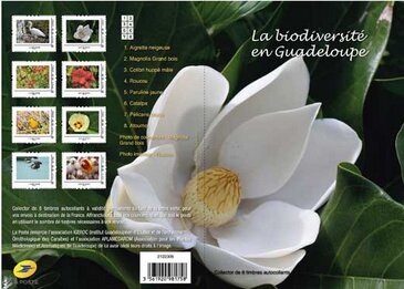 Biodiversity in Guadeloupe
