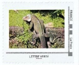 Stamp, Lesser Antillean Iguana (Iguana delicatissima), France,  , Animals (Fauna), Reptiles