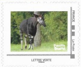 Stamp, Okapi johnstoni, France,  , Animals (Fauna)