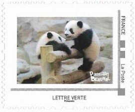 Panda Twins