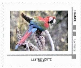 Red and Green Macaw (Ara chloropptera)