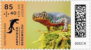 Stamp, Alpine Newt (Ichthyosaura alpestris), Germany, Federal Republic,  , Amphibians, Animals (Fauna), Lizards