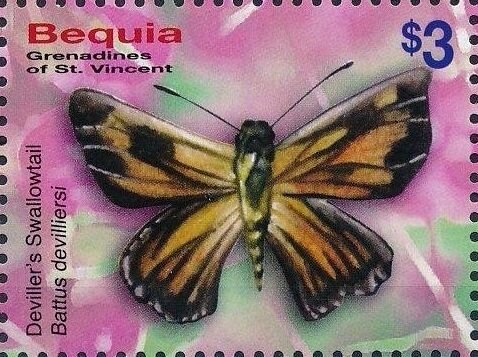 Deviller's Swallowtail (Battus devilliersi)