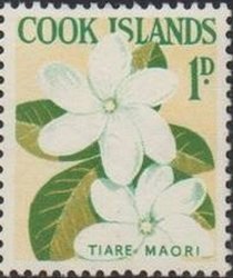 Tiare Maori