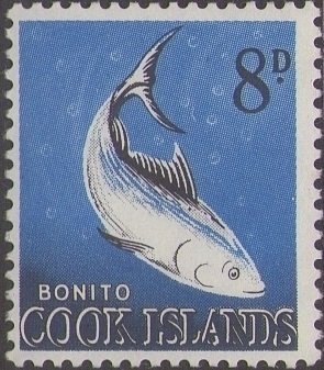 Longtail Tuna (Kishinoella tonggol)