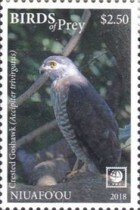 Accipiter trivirgatus