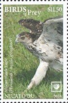 Aquila spilogaster
