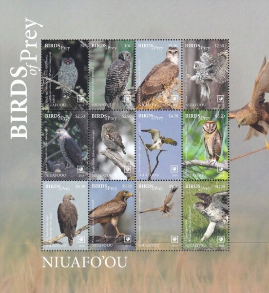 Birds of Prey