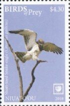 Circaetus gallicus