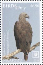 Haliaeetus ichthyaetus