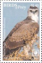Polemaetus bellicosus
