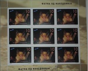 Mini Sheet, Mediterranean Horseshoe Bat (Rhinolophus euryale), North Macedonia,  , Animals (Fauna), Bats, Mammals